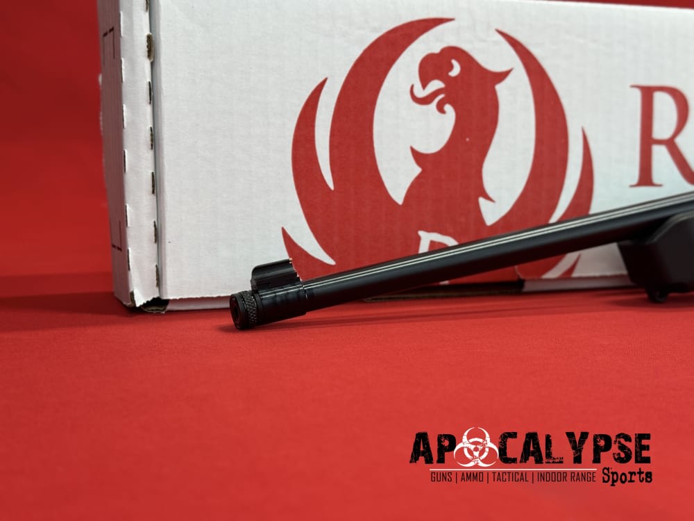 Ruger 10/22 -img-7