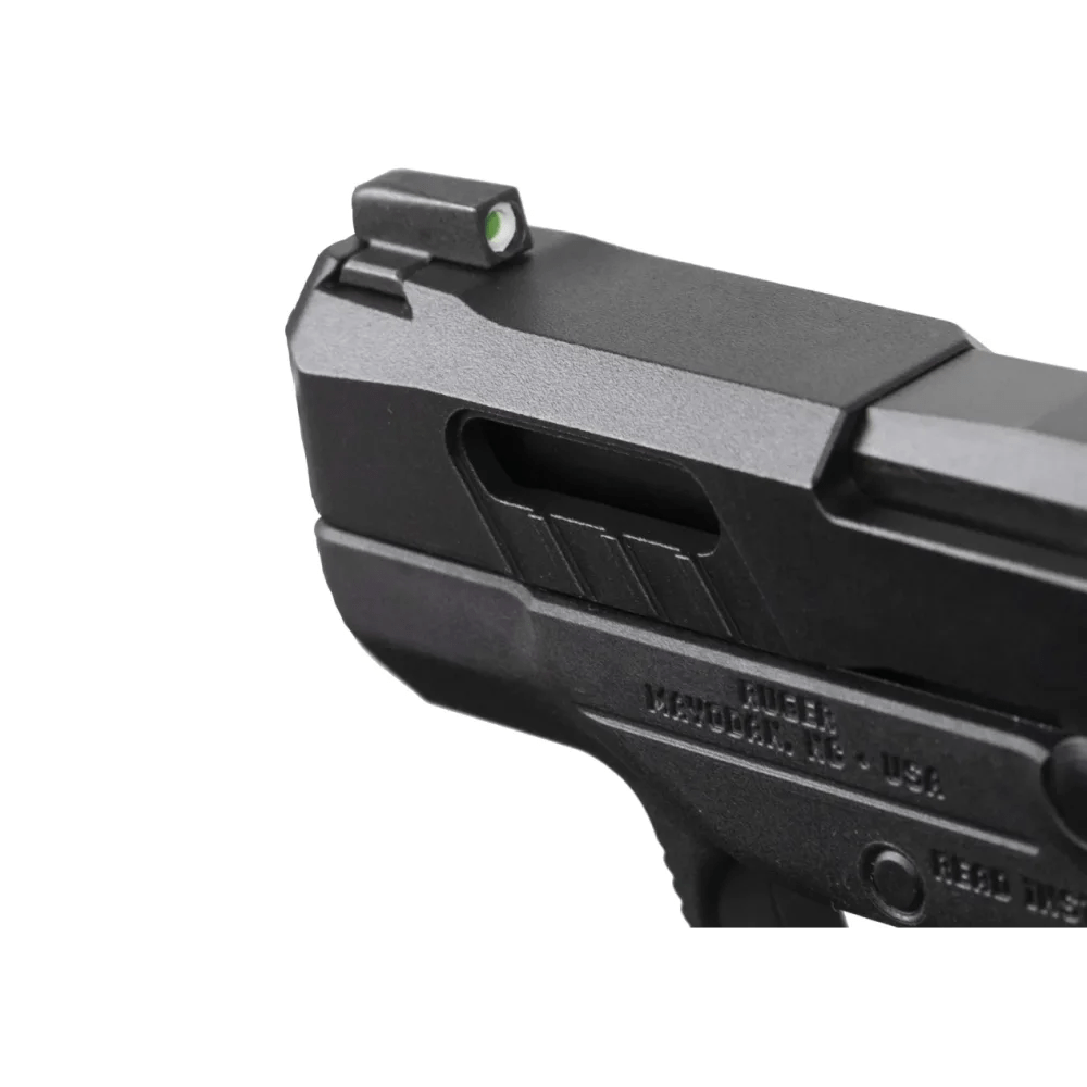 Ruger LCP Max-img-1
