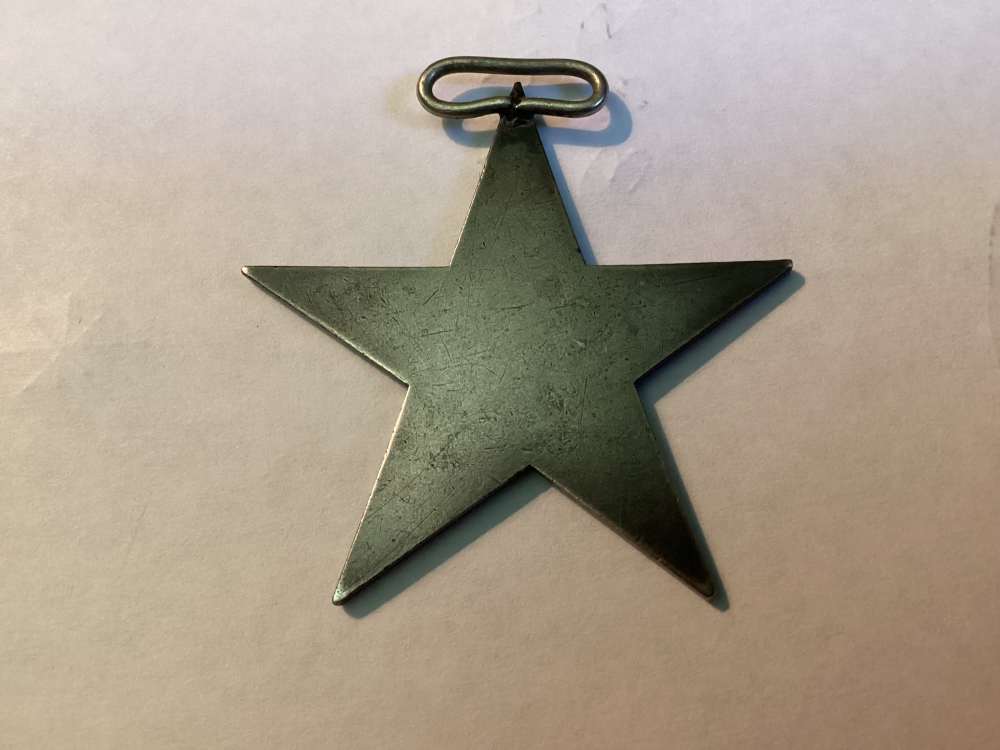 Italian American Member Medal.-img-1