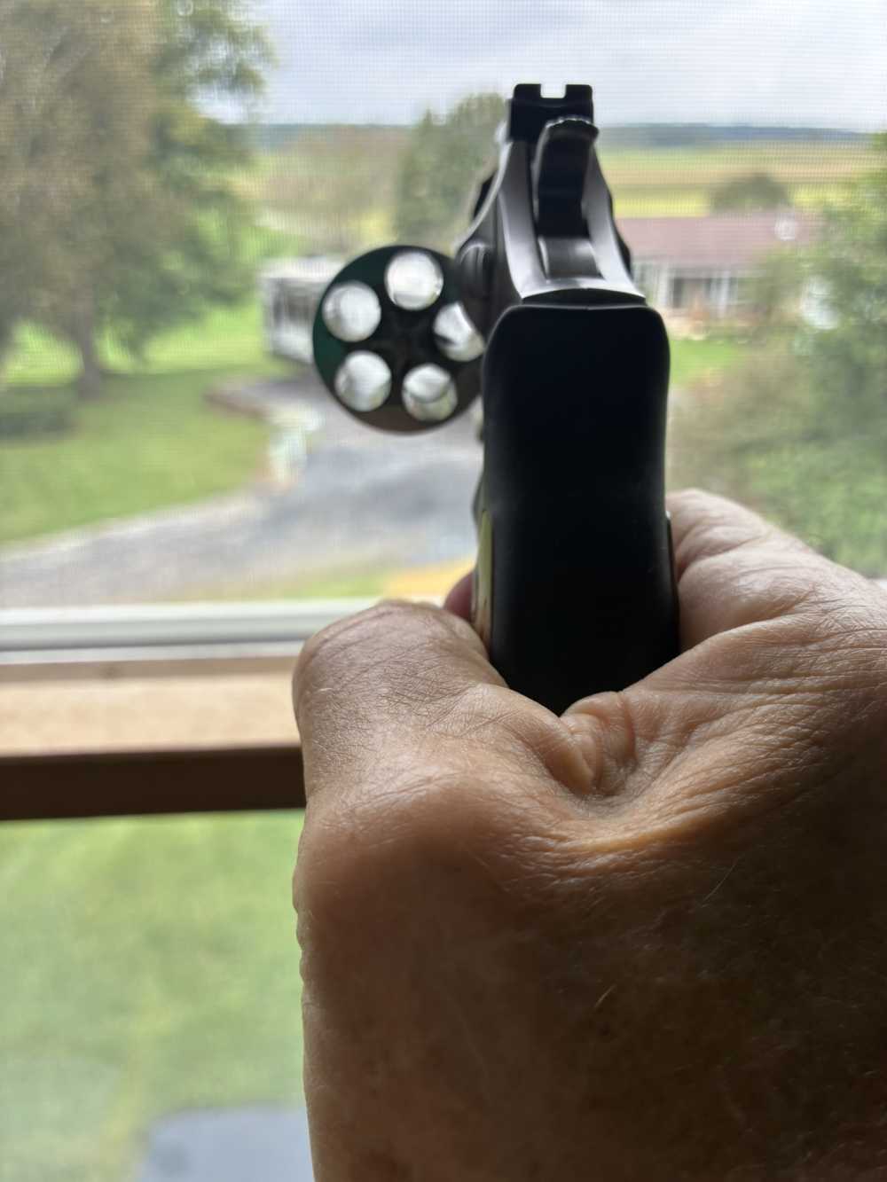 Ruger SP101 .357 Mag Stainless-img-7