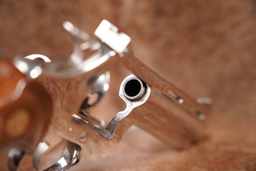 Colt Diamondback D5541 .38 Special 4" Nickel Double Action Revolver, 1977-img-14