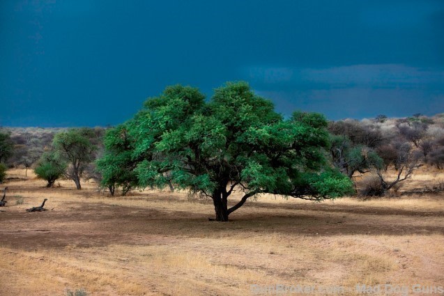 BLASER SAFARIS, NAMIBIA-img-5