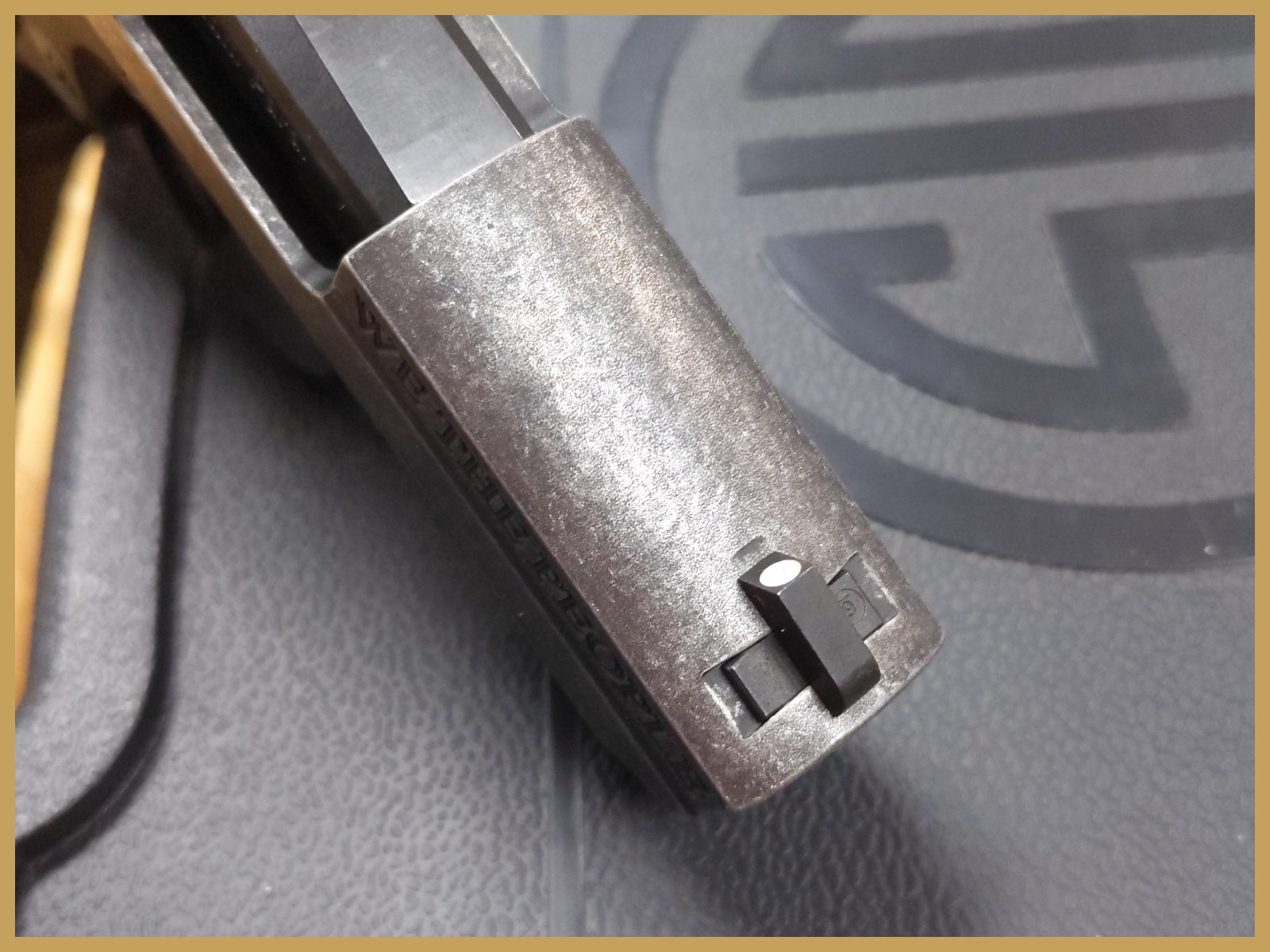 SIG Sauer P938 9mm Luger We The People-img-10