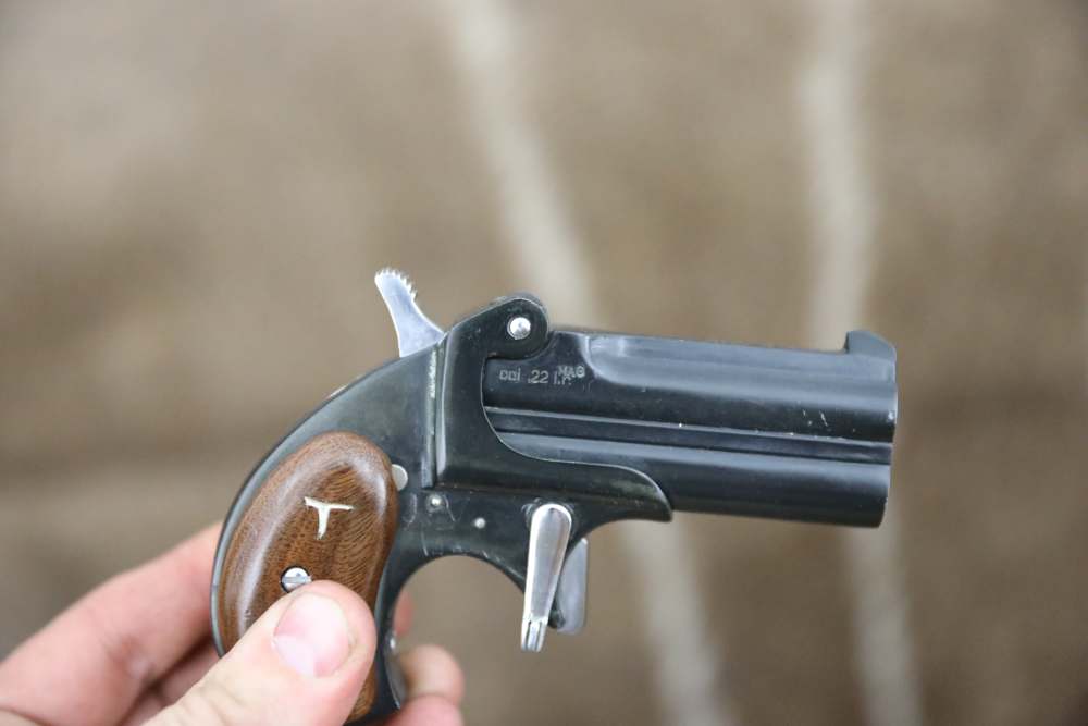 C056* Hawes Derringer 22 WMR MAG 3"-img-1