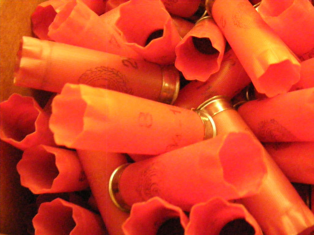 200 Empty Estate Shotgun Hulls 12 Gauge for Reloader-img-4