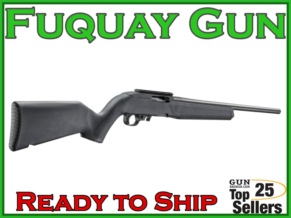 Ruger 10/22-img-2