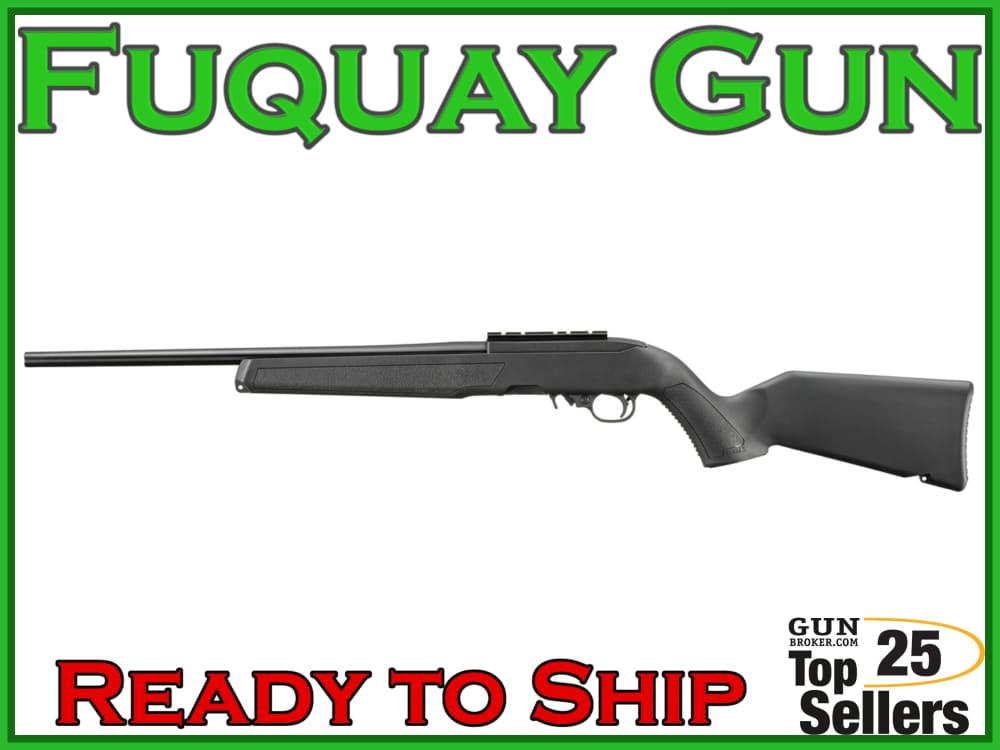 Ruger 10/22-img-5