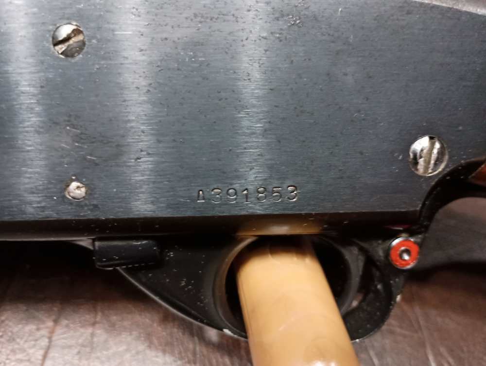 "HARD TO FIND" Springfield MODEL 67F 20 Ga Pump ( GREAT SHAPE )-img-14