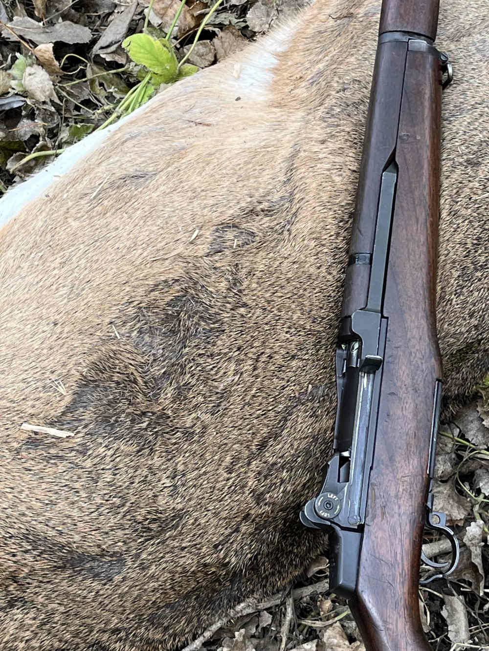 30-06 M1 Garand Ammo 168gr. ABLR  -  20 Rounds-img-5
