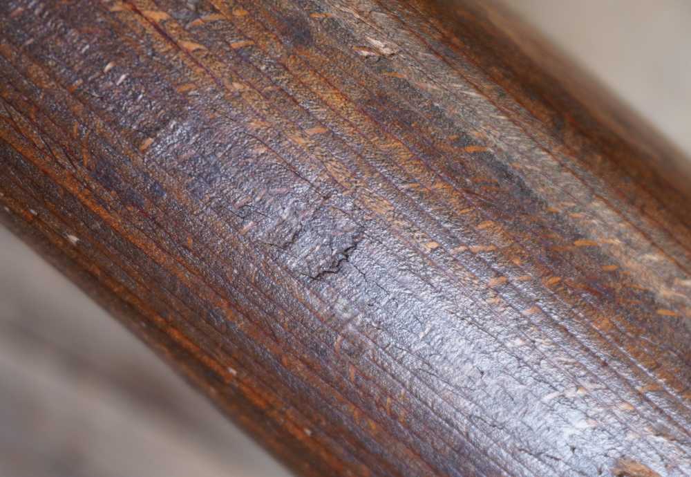 BYF 44 Mauser 98 K HIGH CONDITION MATCHING "hand stamped" series bringback -img-80