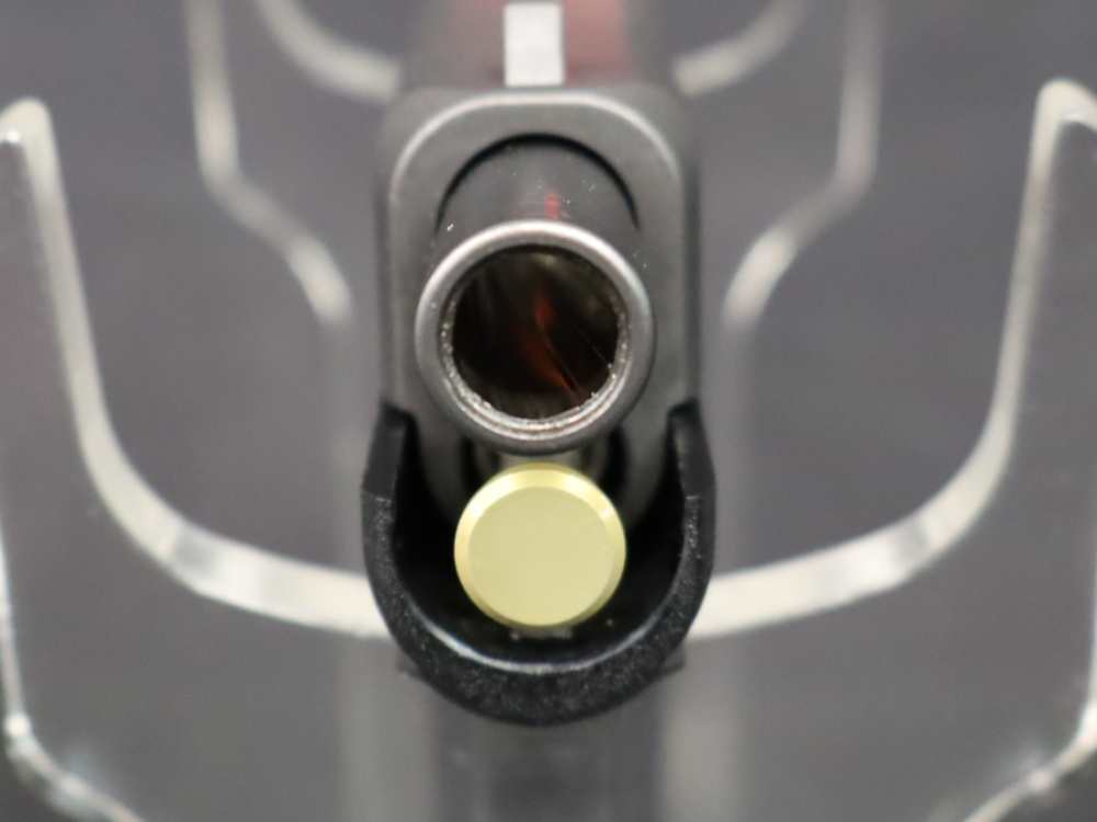GLOCK 48 MOS 9X19 W/ HOLOSUN EPS CARRY GLOCK PENNY!-img-5