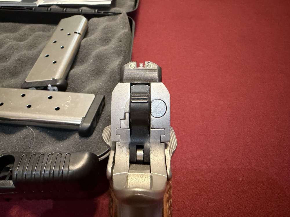 Kimber custom shop pro raptor II Stainless .45 ACP-img-6