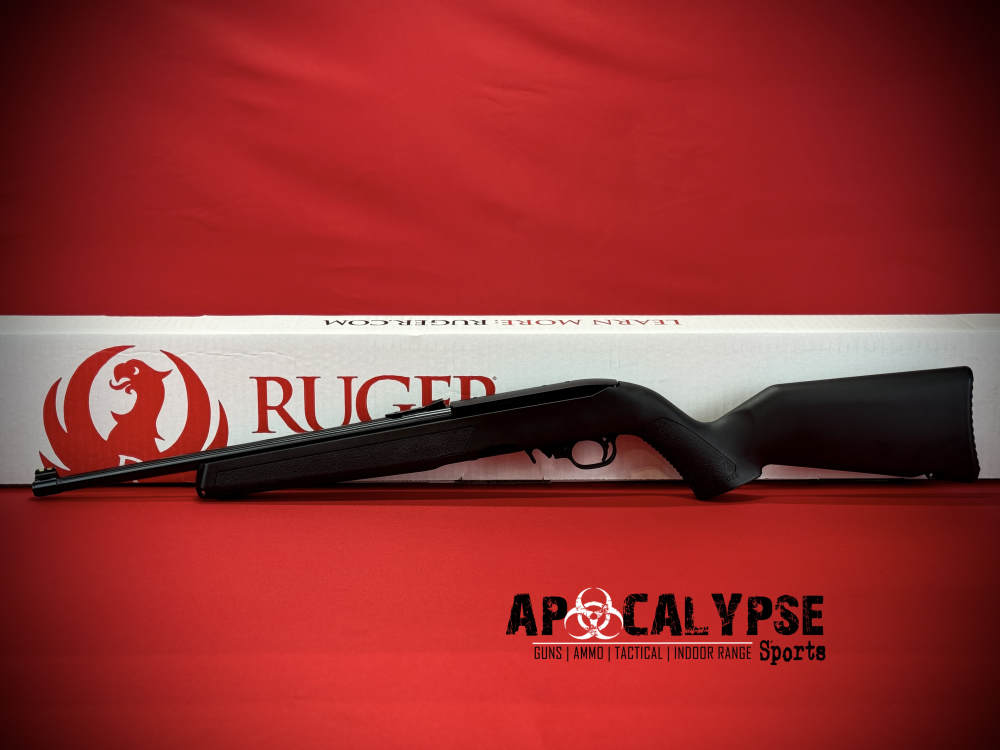 Ruger 10/22 -img-3