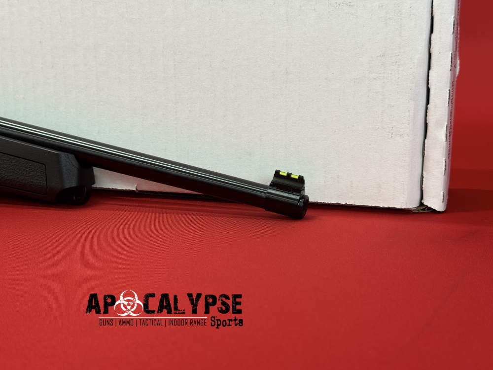 Ruger 10/22 -img-9