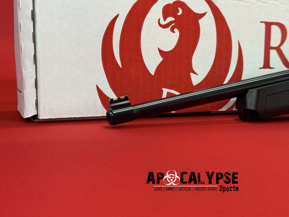 Ruger 10/22 -img-4