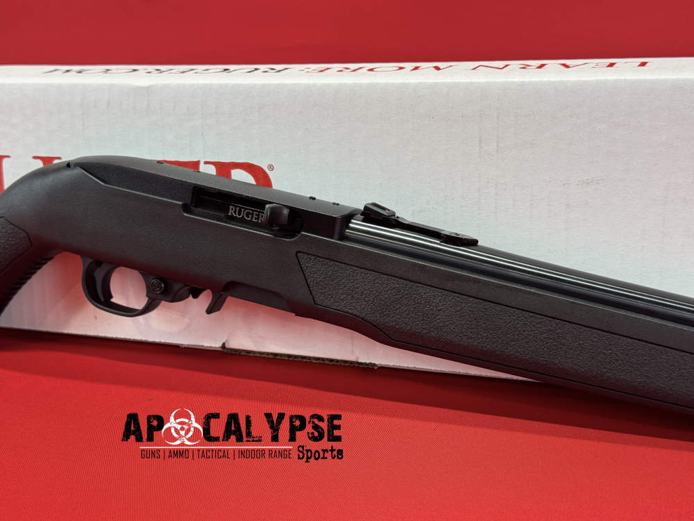 Ruger 10/22 -img-8
