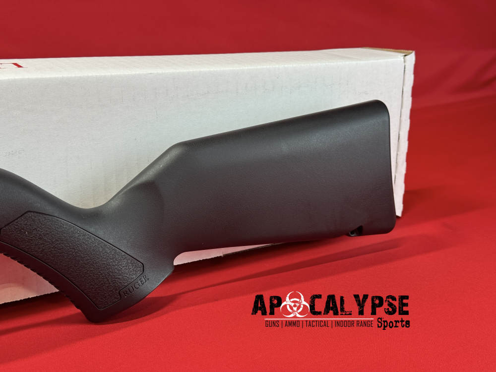 Ruger 10/22 -img-6