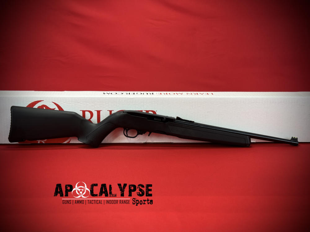 Ruger 10/22 -img-2