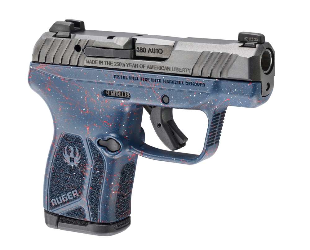 Ruger LCP Max-img-5
