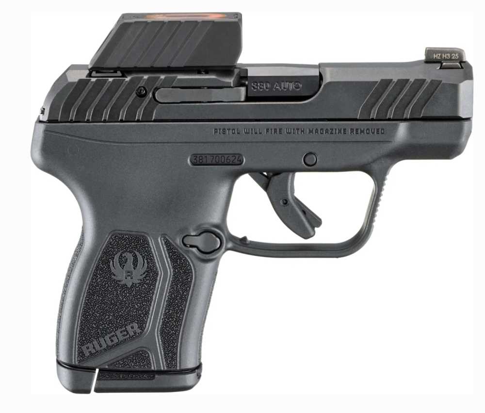 Ruger LCP MAX-img-4