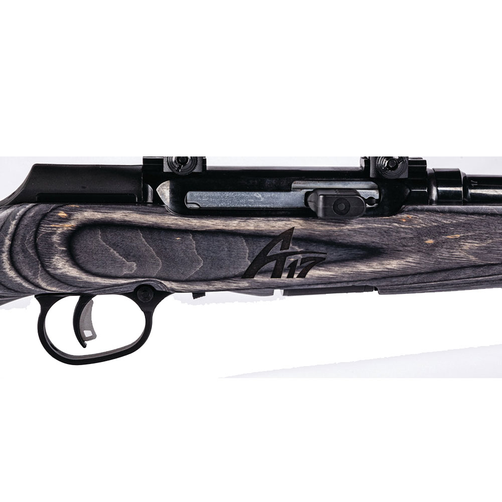 SAVAGE A17 Target Sporter Laminate .17 HMR 22in-img-3
