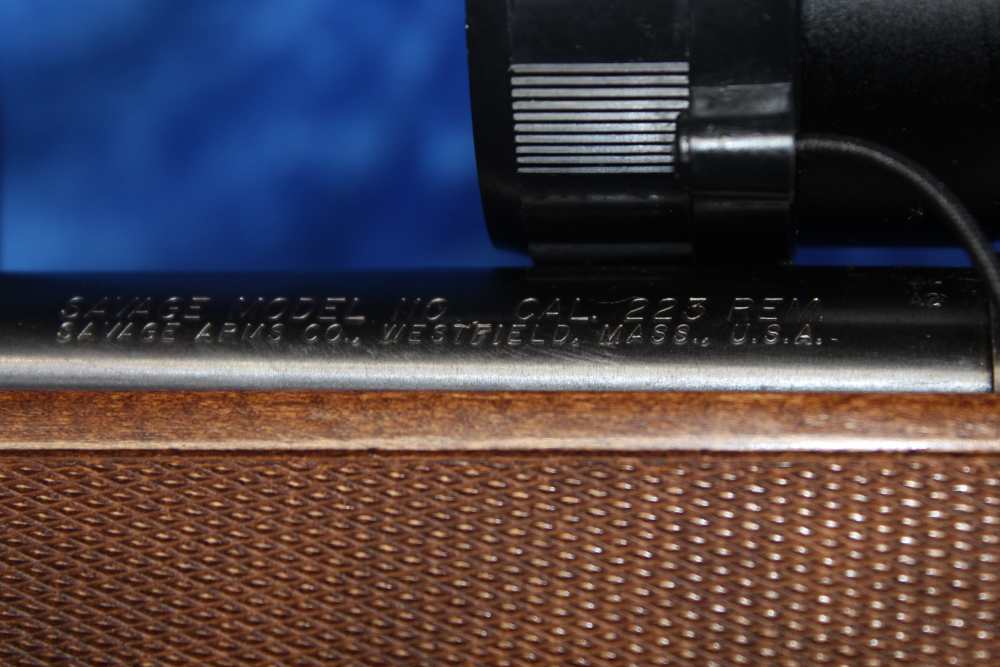Savage Model 110 .223 REM Bolt-Action Rifle 22" Barrel with Accessories-img-14