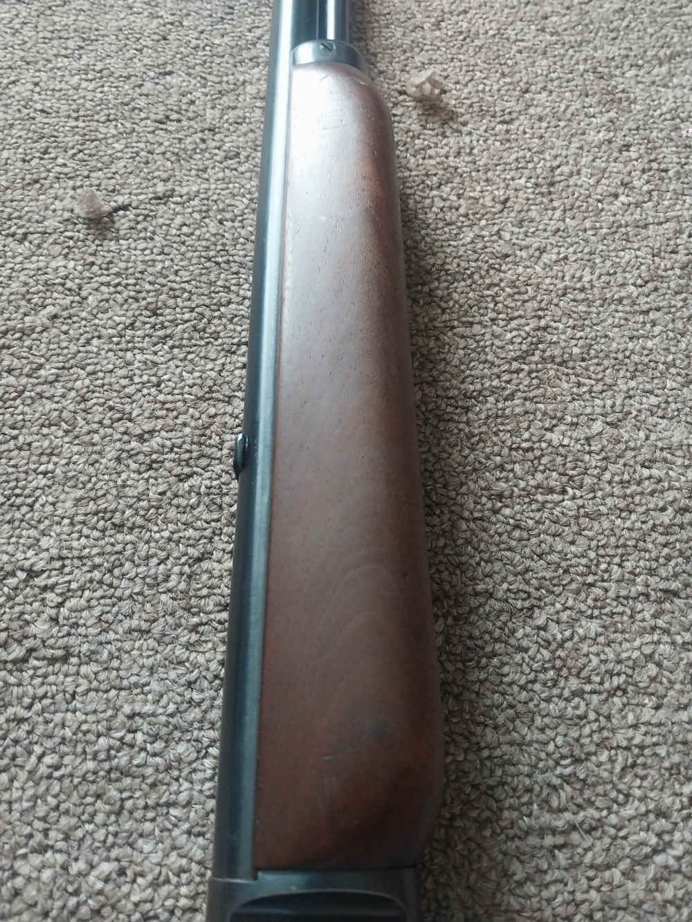Marlin 39a 22lr. Lyman sight-img-13