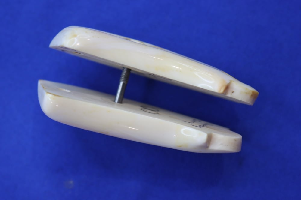 Vintage Smith & Wesson S&W J Frame Revolver Grips WARTHOG IVORY Rare RND 38-img-20