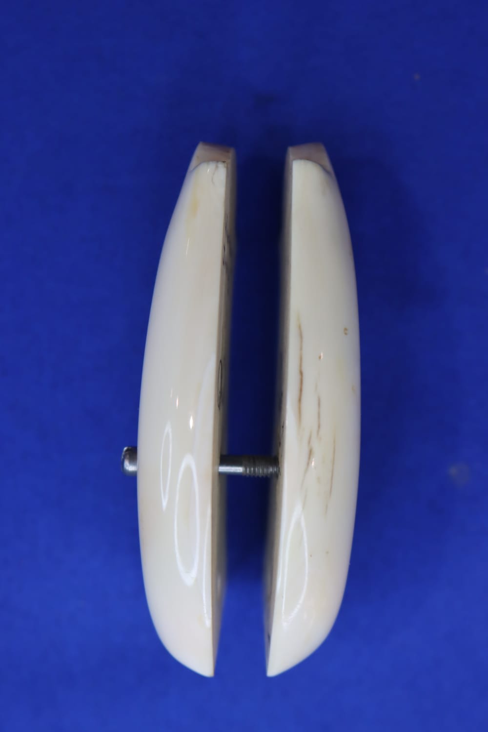 Vintage Smith & Wesson S&W J Frame Revolver Grips WARTHOG IVORY Rare RND 38-img-19