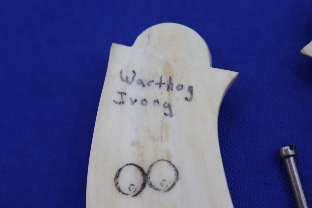 Vintage Smith & Wesson S&W J Frame Revolver Grips WARTHOG IVORY Rare RND 38-img-14