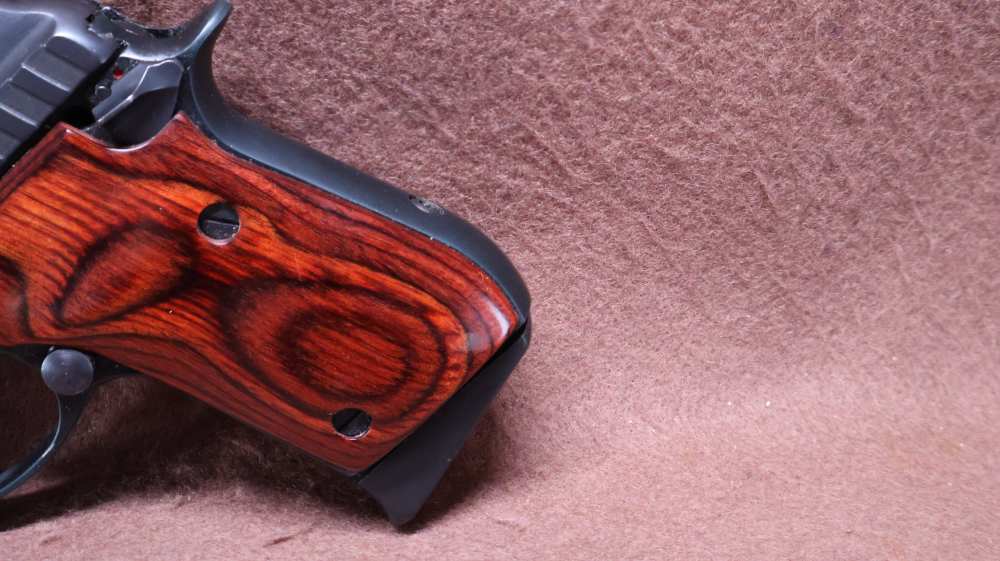 Taurus PT-22 22 LR Semi 2.75" Tip Up BRL 8 Rd Mag Thumb Safety VG Bore-img-4