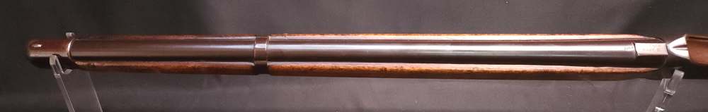 Martini Henry Greener Mark III 3 14 Bore Egyptian Police Shotgun Layaway-img-26