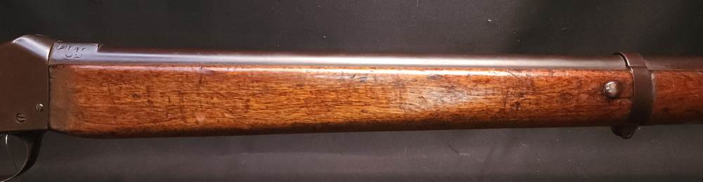 Martini Henry Greener Mark III 3 14 Bore Egyptian Police Shotgun Layaway-img-9