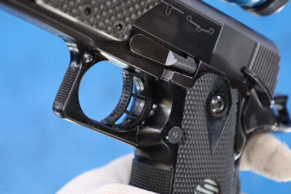 SVI Infinity Open Glass 40 S&W with Aimpoint Comp XD 2011-img-39