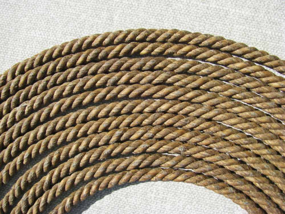  FINE RARE ANTIQUE 6 STRAND TWIST BRAIDED FOLKART RAWHIDE REATA +PROVENANCE-img-7
