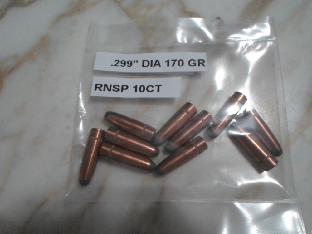 .299" Dia 170 Gr RNSP 10ct-img-0