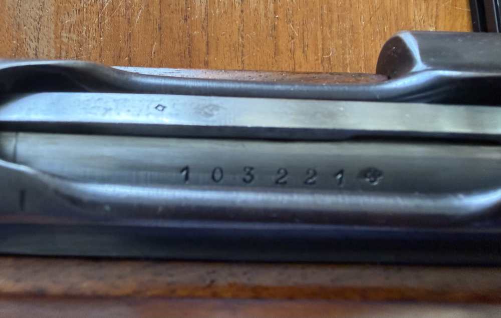 Schmidt Rubin 1889  .22 LR-img-9