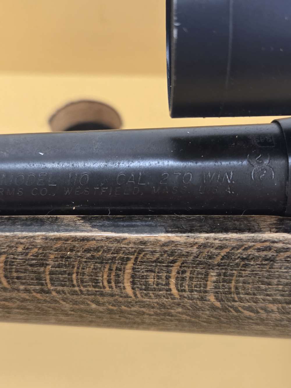 SAVAGE MODEL 110 .270 WINCHESTER -img-9