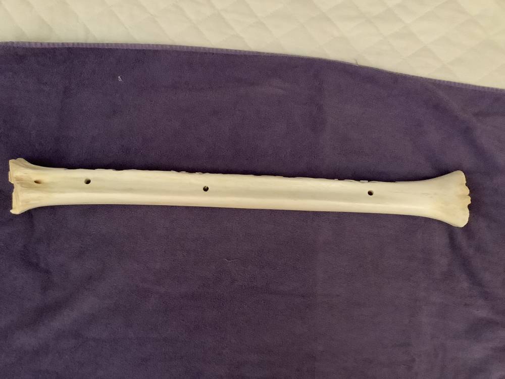 HAND CARVED GIRAFFE BONE , WARTHOGS-img-4