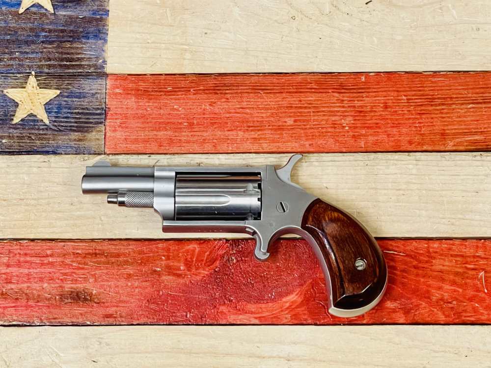 North American Arms NAA-22 Magnum -img-5