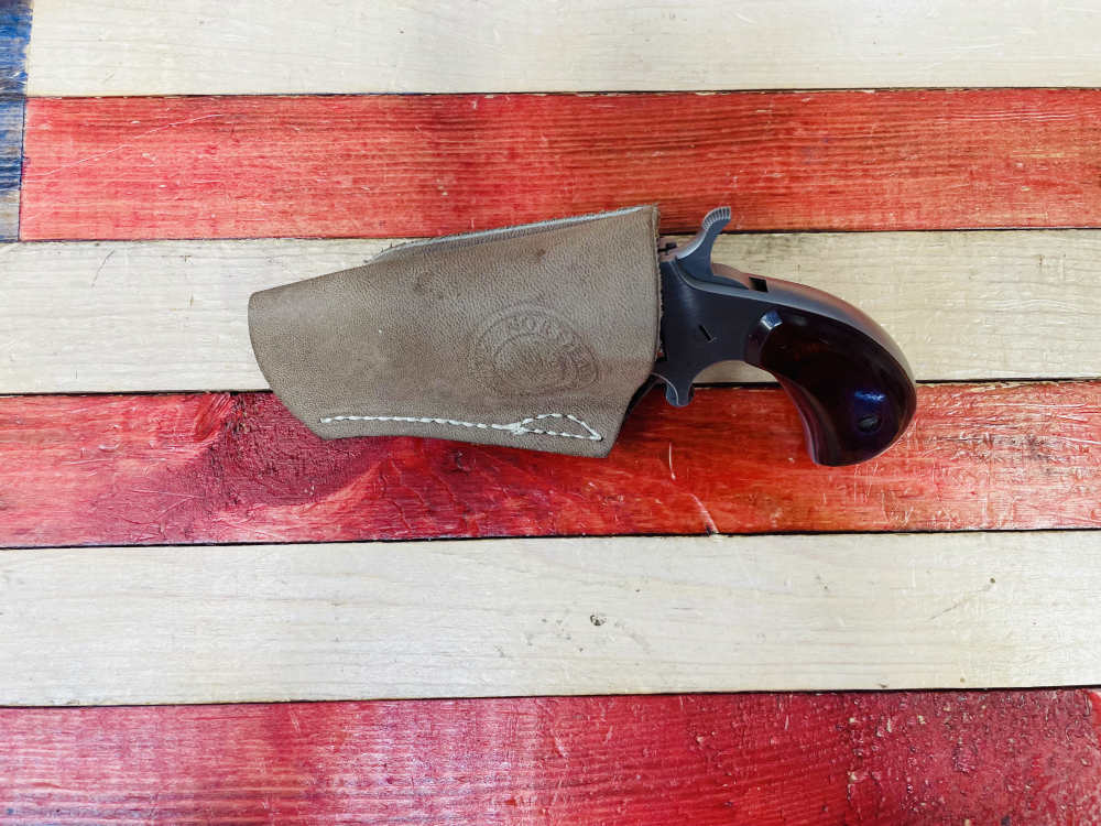 North American Arms NAA-22 Magnum -img-2