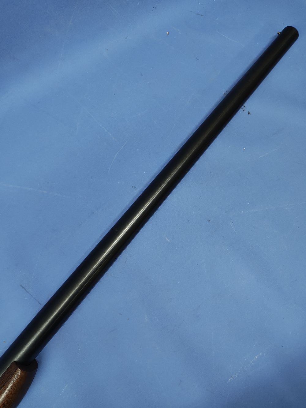 Harrington & Richardson 176 Topper 10 ga Shotgun H&R 3.5" Barrel-img-7