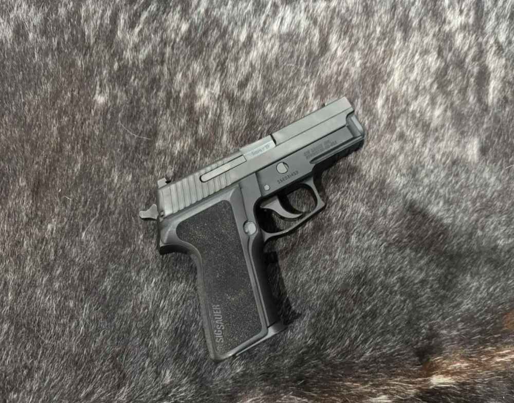 Sig Sauer P229-img-3