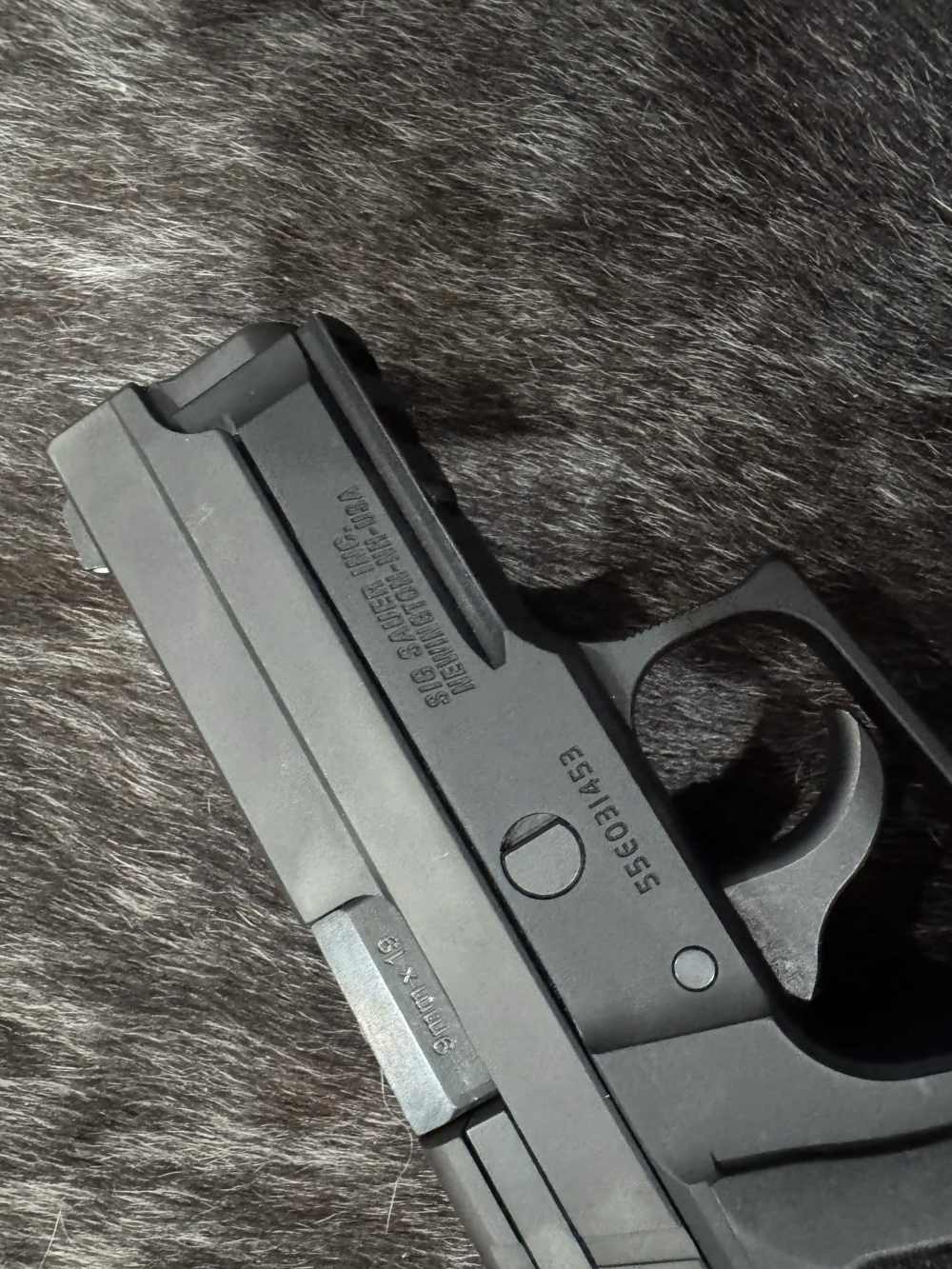 Sig Sauer P229-img-2