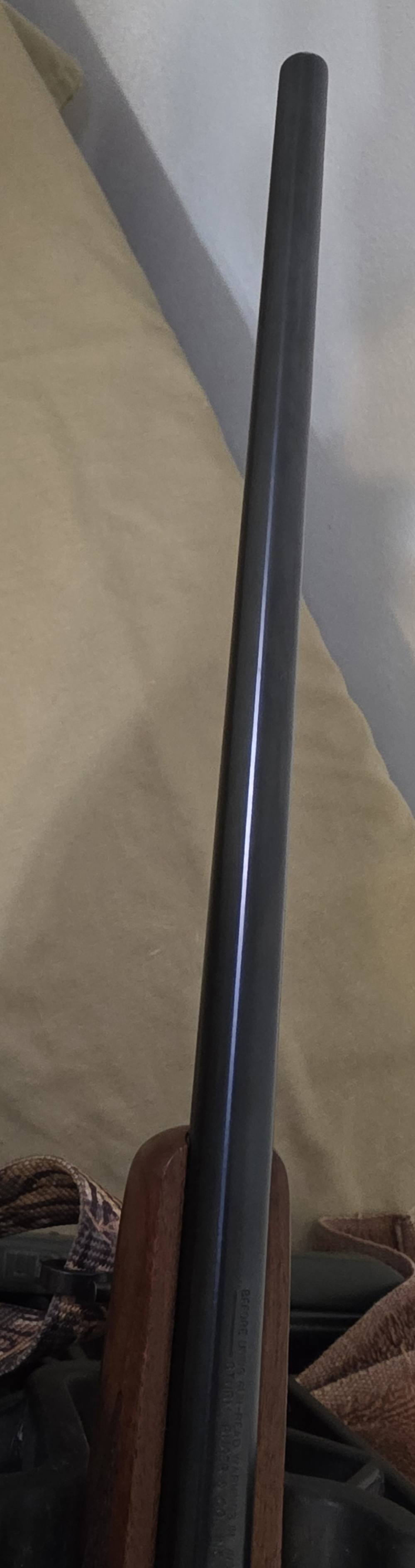 2005 Ruger 77/17. Nice! 17 HMR. Glossy, 22" Barrel. Cabelas CS17 Scope. -img-22