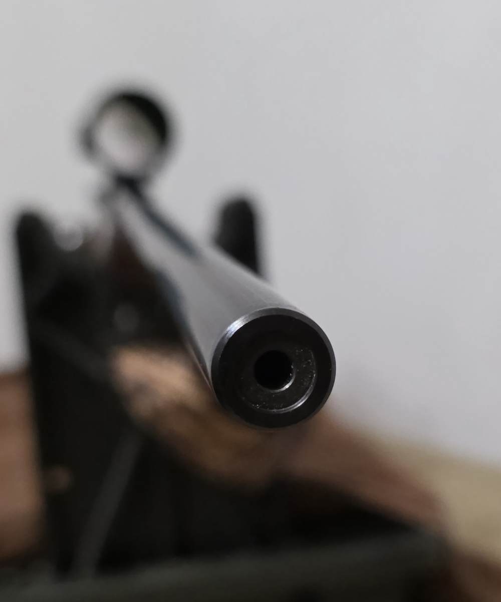 2005 Ruger 77/17. Nice! 17 HMR. Glossy, 22" Barrel. Cabelas CS17 Scope. -img-45
