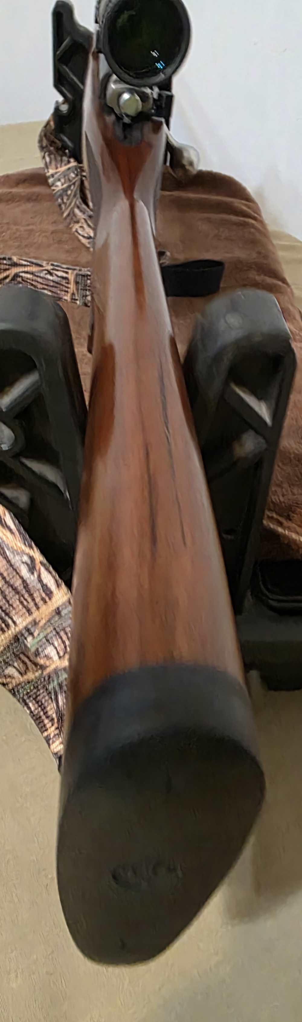 2005 Ruger 77/17. Nice! 17 HMR. Glossy, 22" Barrel. Cabelas CS17 Scope. -img-17