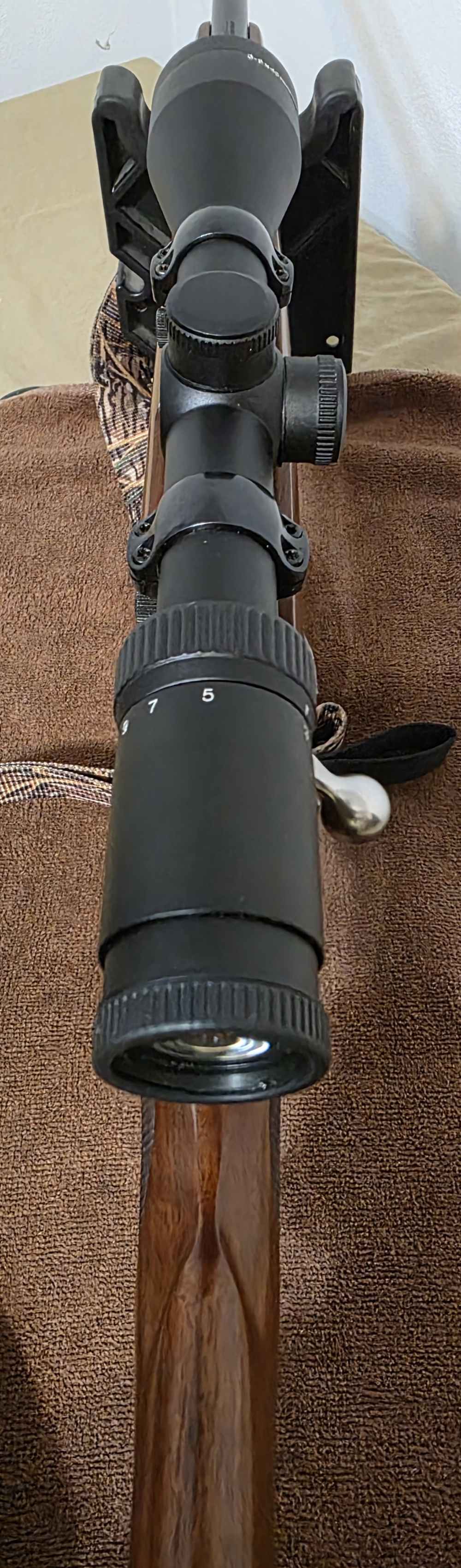 2005 Ruger 77/17. Nice! 17 HMR. Glossy, 22" Barrel. Cabelas CS17 Scope. -img-19