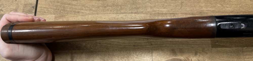 Mossberg 9200 Semi Auto 12 G - Penny Start -img-5