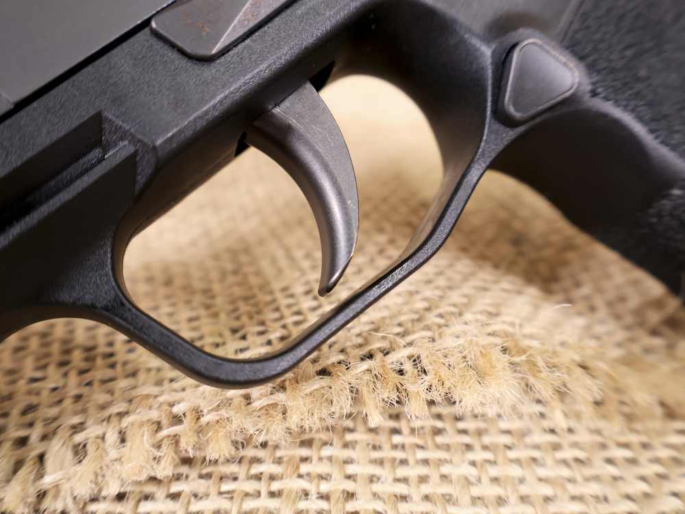 Sig Sauer, P365 Nitron, Micro Compact 10+1 9mm Semi-Auto Handgun-img-5